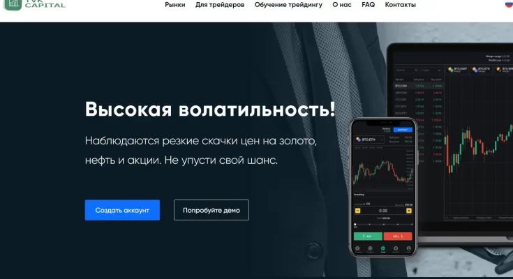 TVK Capital (ТВК Капитал) — Отзывы о брокерской компании!