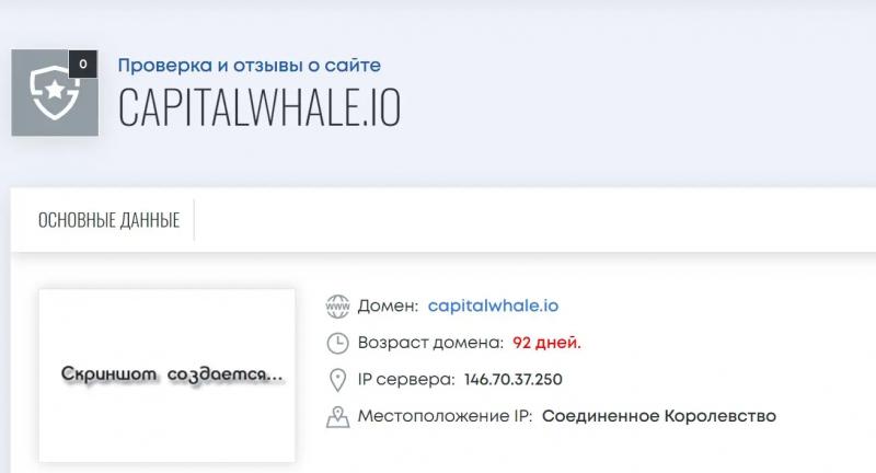Обзор сомнительной платформы Capital Whale!