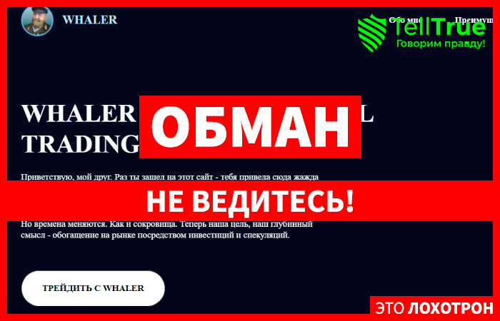 Whaler (whaler.pro) проект для потери денег!