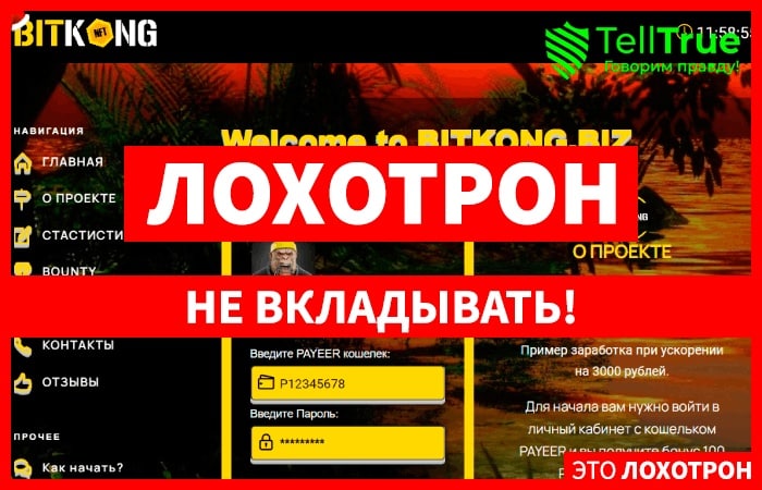 Bitkong (bitkong.biz) развод с майнингом рублей!