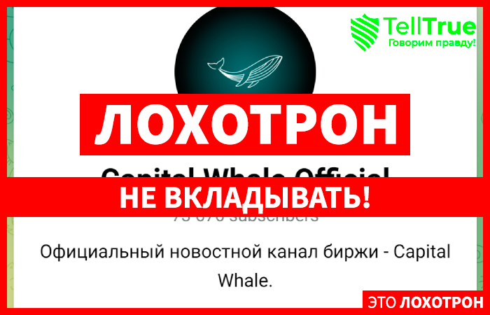 Capital Whale Official (t.me/capital_whale) развод в Телеграм!